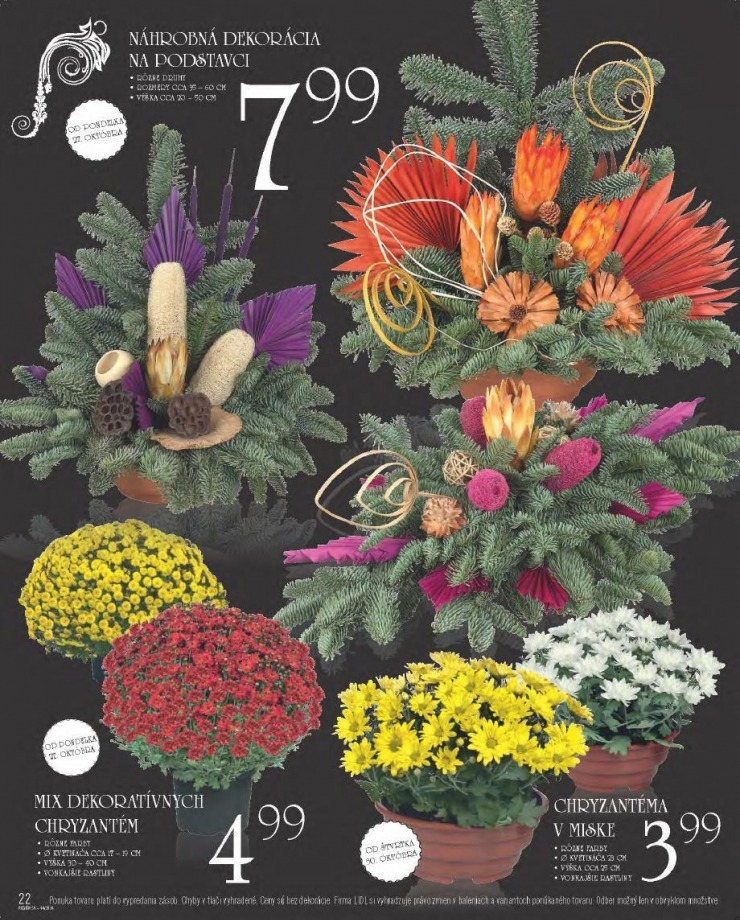 let�k aktu�lna ponuka Lidl strana 22