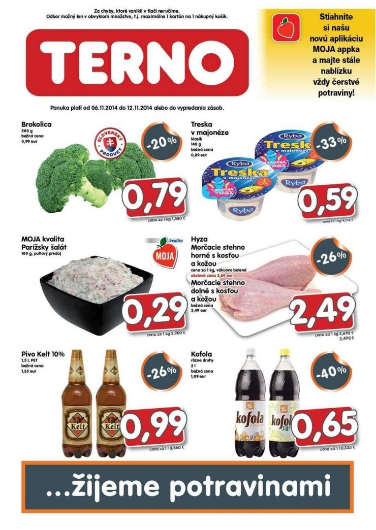 let�k TERNO akciov� let�k strana 1