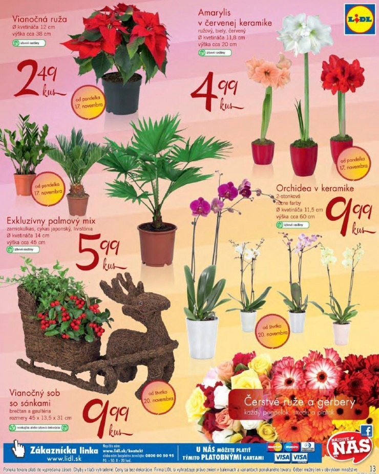 let�k Lidl let�k - hviezdy t��d�a XXL strana 13