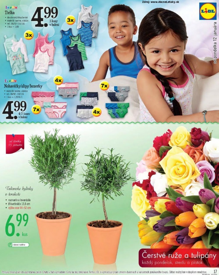 let�k �peci�lny let�k Lidl strana 17