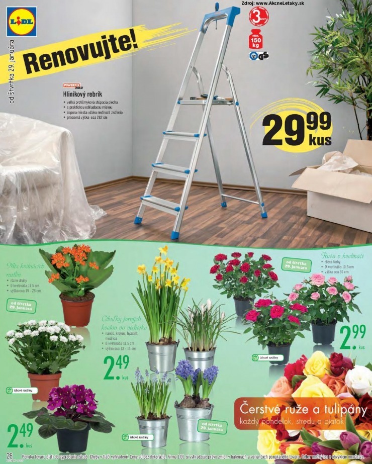 let�k extra let�k Lidl strana 26
