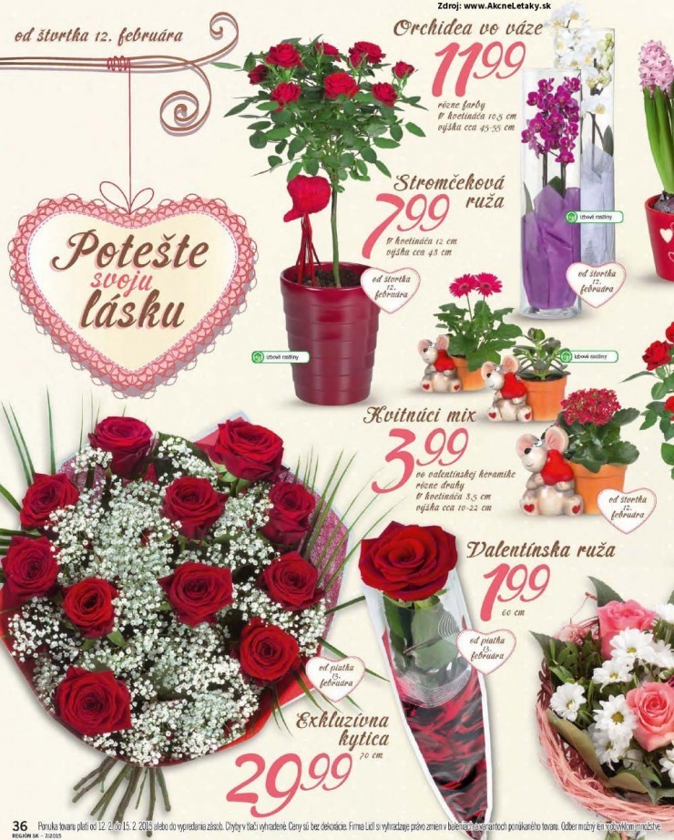 let�k ponuka Lidl - �zijsk� t��de� strana 36