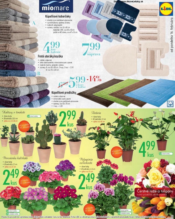 let�k Lidl ponuka - hviezdy t��d�a strana 13