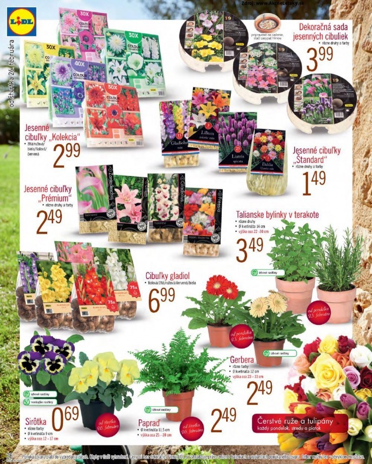 let�k Lidl let�k - v americkom �t�le strana 26