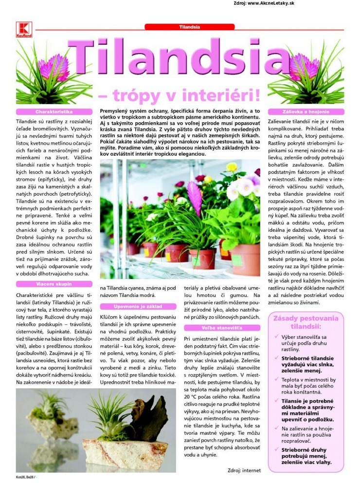 let�k aktu�lny let�k Kaufland - Bratislava strana 28