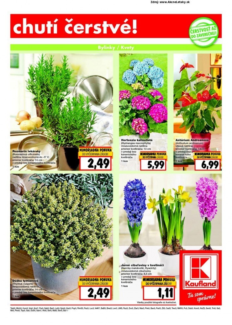 let�k �peci�lny let�k Kaufland strana 5