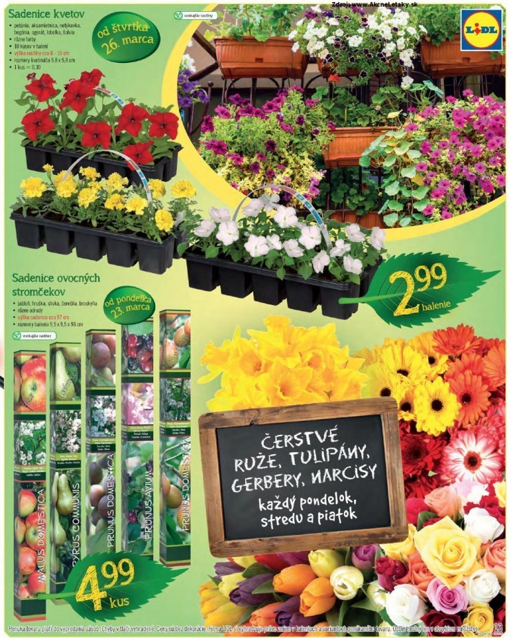 let�k Lidl akciov� let�k strana 13