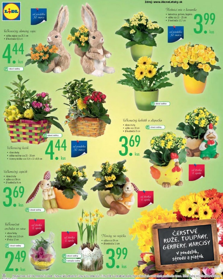 let�k akciov� let�k Lidl strana 36