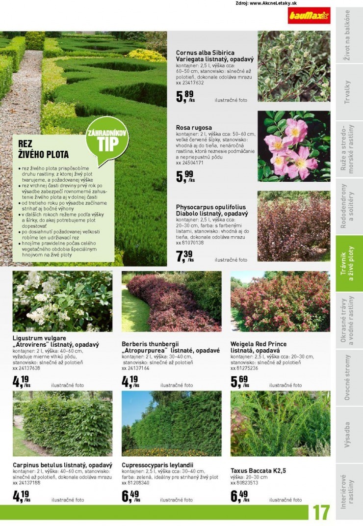 let�k bauMax Z�hradn� katal�g - jar 2015 strana 17