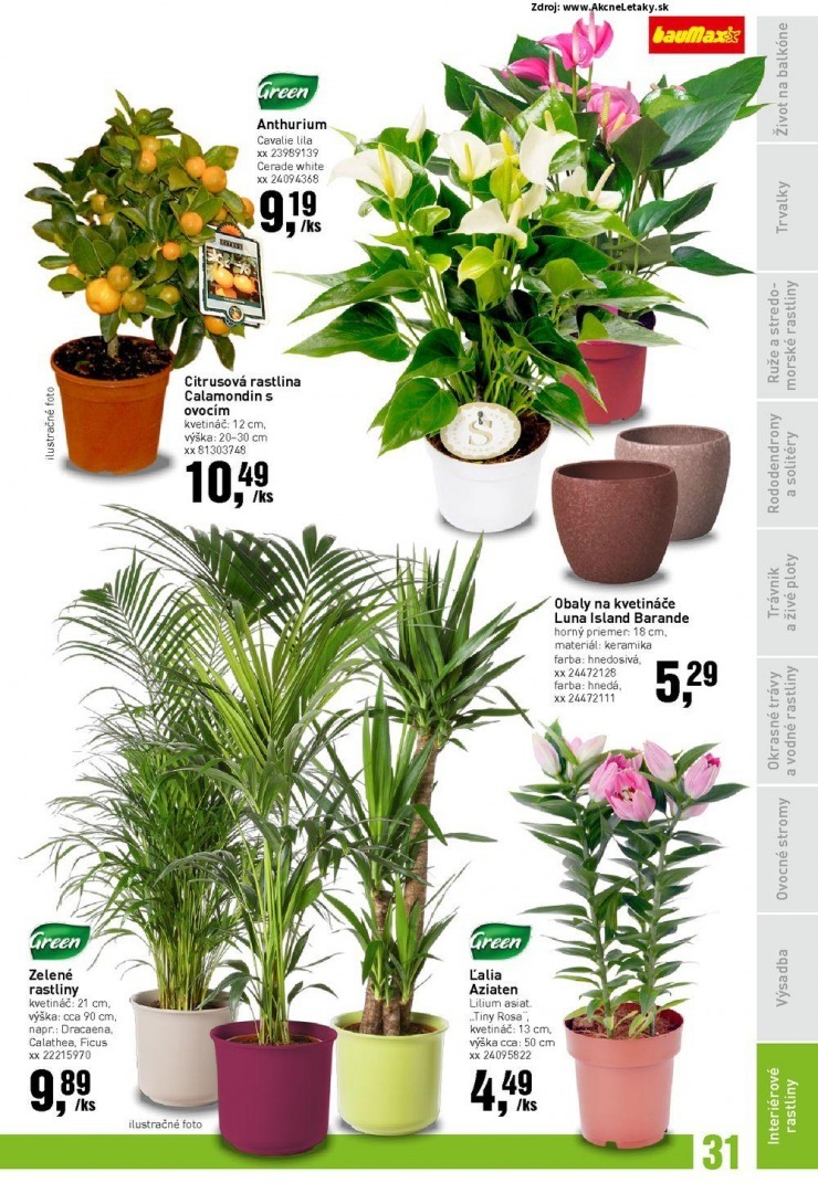 let�k bauMax Z�hradn� katal�g - jar 2015 strana 31