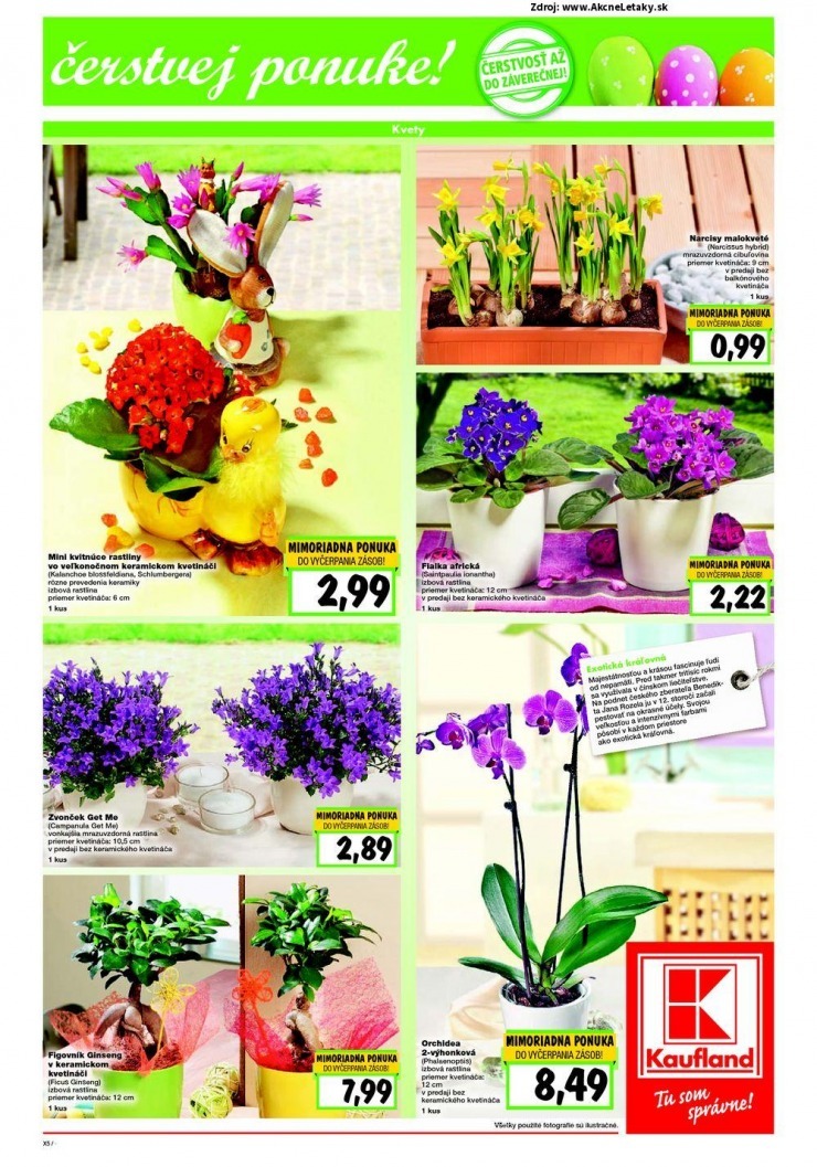 let�k Kaufland aktu�lny let�k strana 5