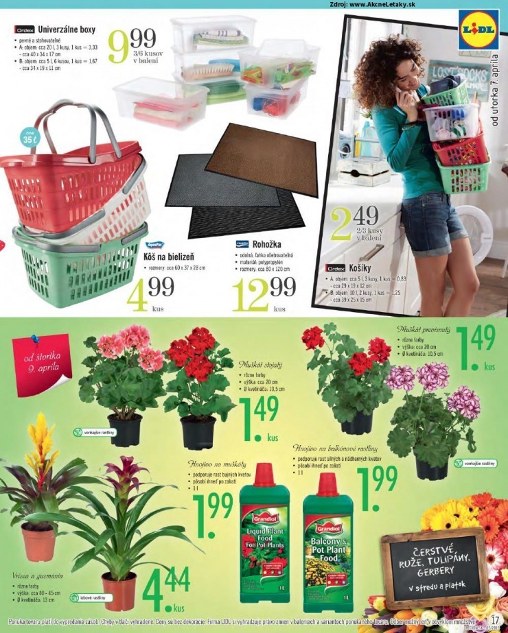 let�k Lidl mimoriadn� let�k strana 17