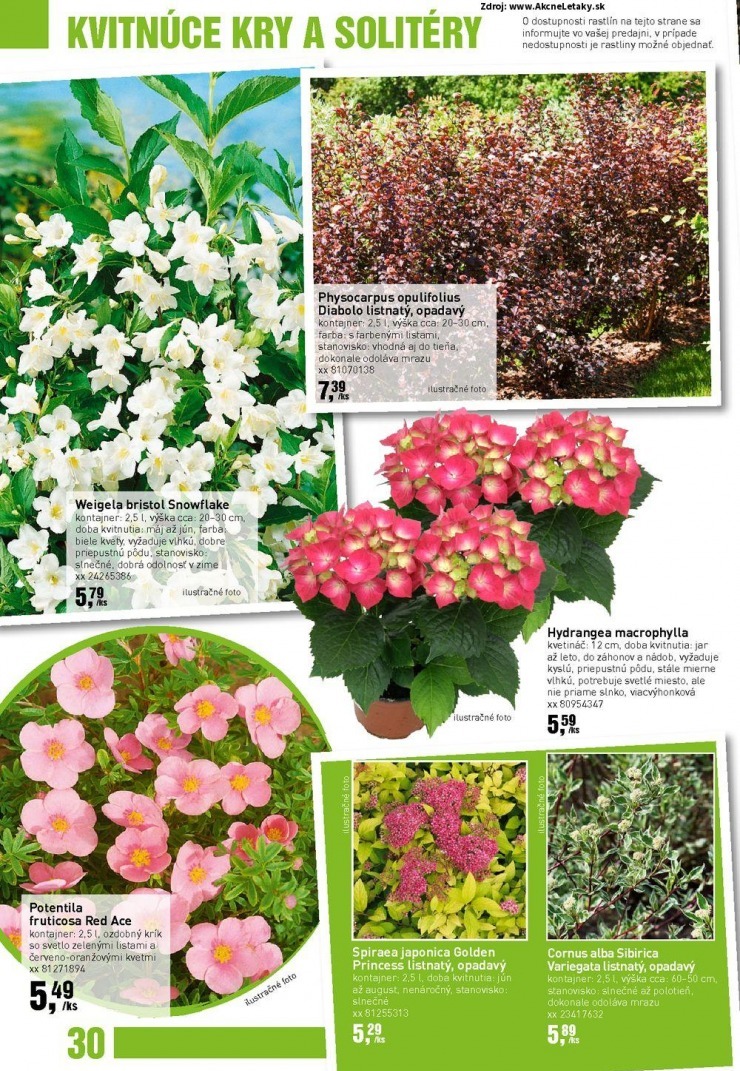 let�k aktu�lny katal�g bauMax strana 30