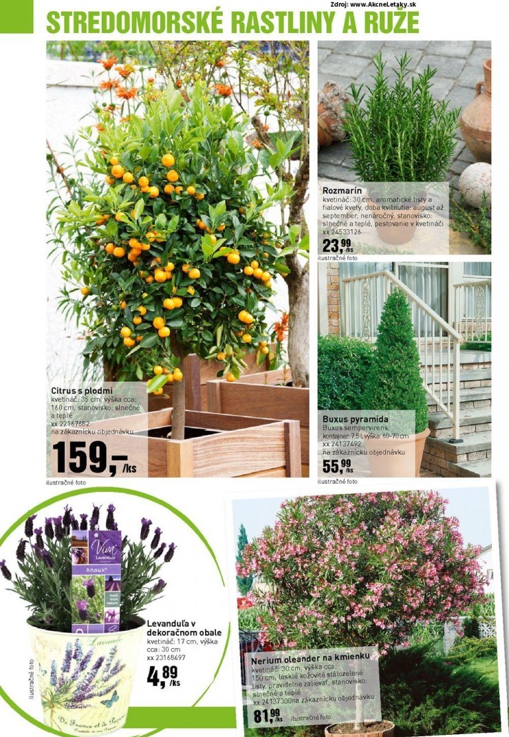 let�k aktu�lny katal�g bauMax strana 32