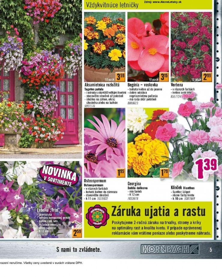 let�k let�k HORNBACH - Jarn� kolekcia strana 5