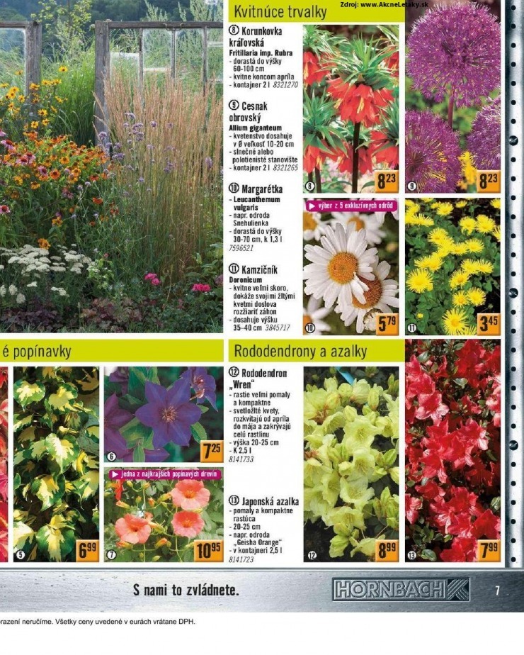 let�k let�k HORNBACH - Jarn� kolekcia strana 7