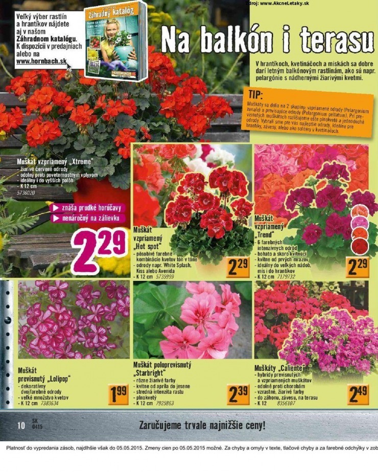 let�k let�k HORNBACH - Jarn� kolekcia strana 10